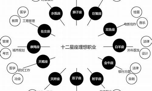 十二星座适合的职业_十二星座适合的职业男