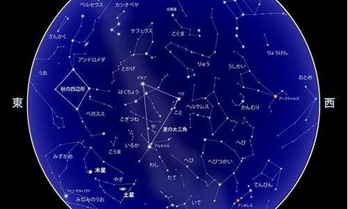 2021年8月星座运势详解女生_2021年八月星座运势